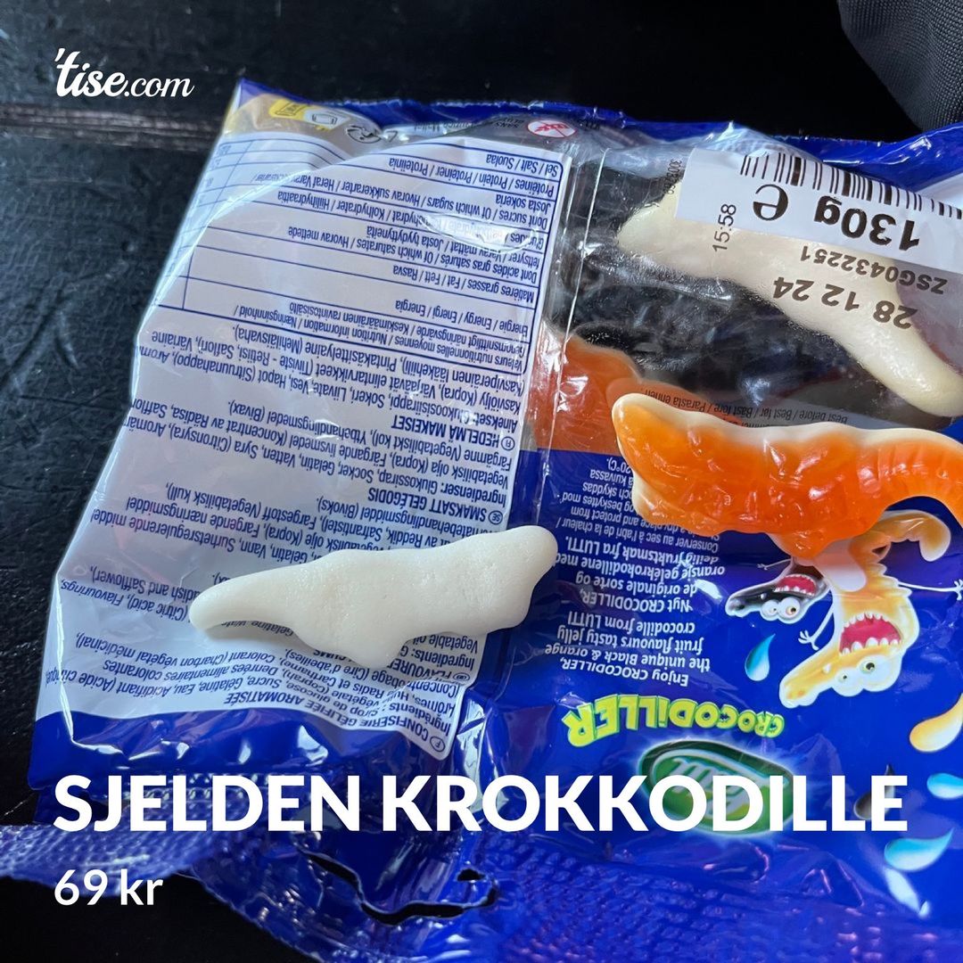 Sjelden krokkodille