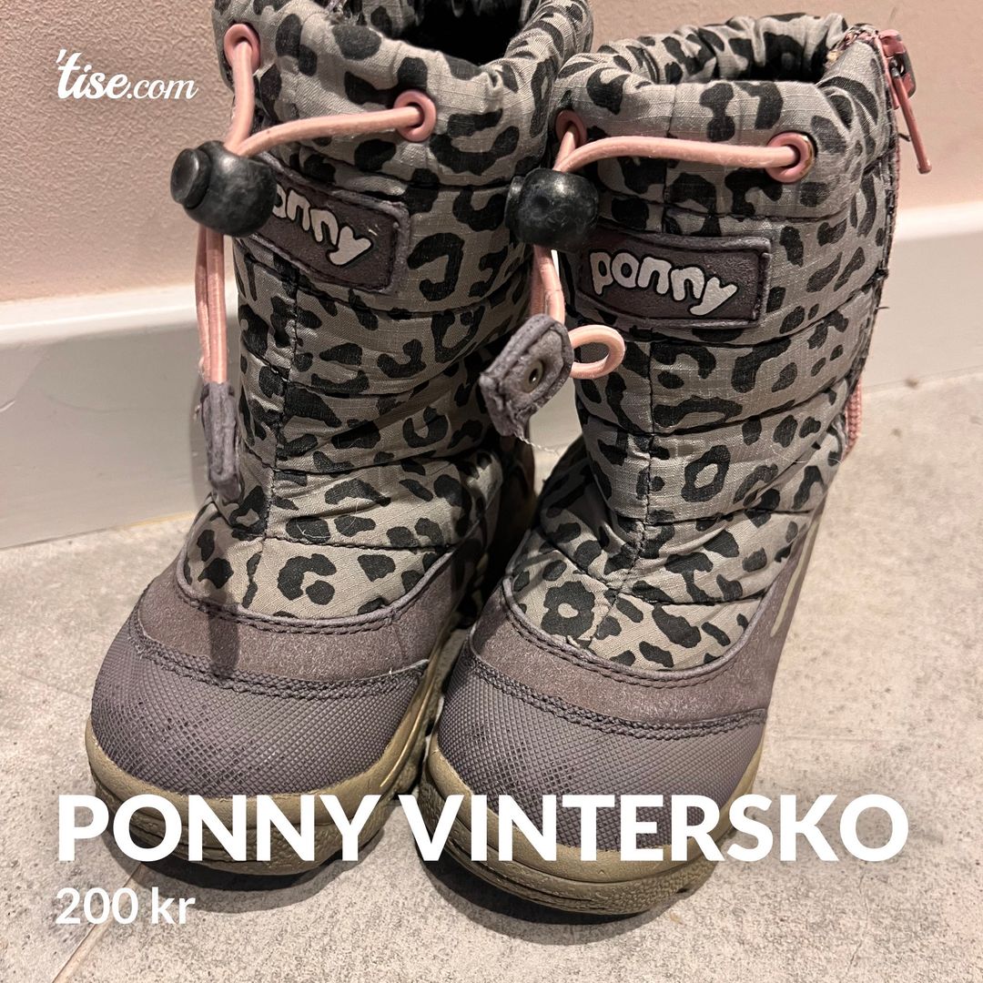 Ponny vintersko