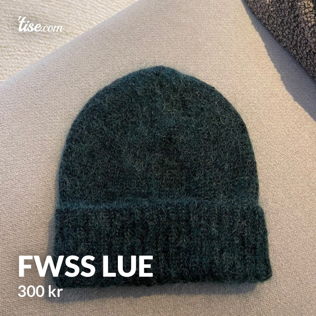 FWSS lue