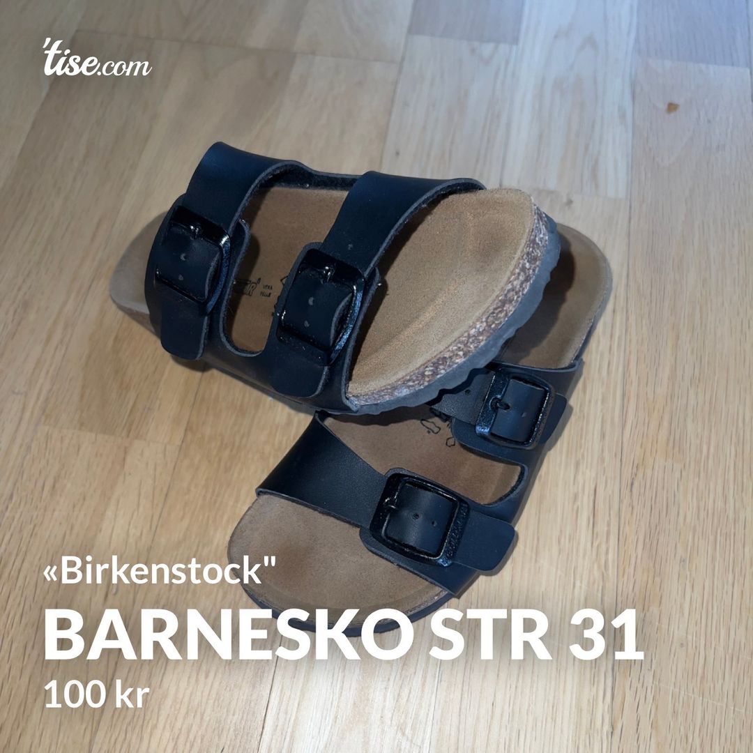 Barnesko str 31