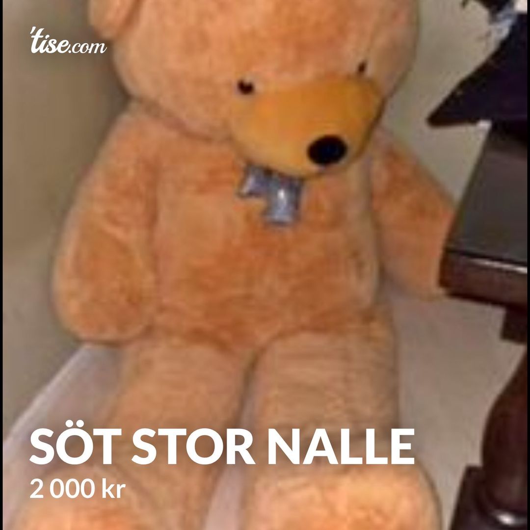 Söt stor nalle