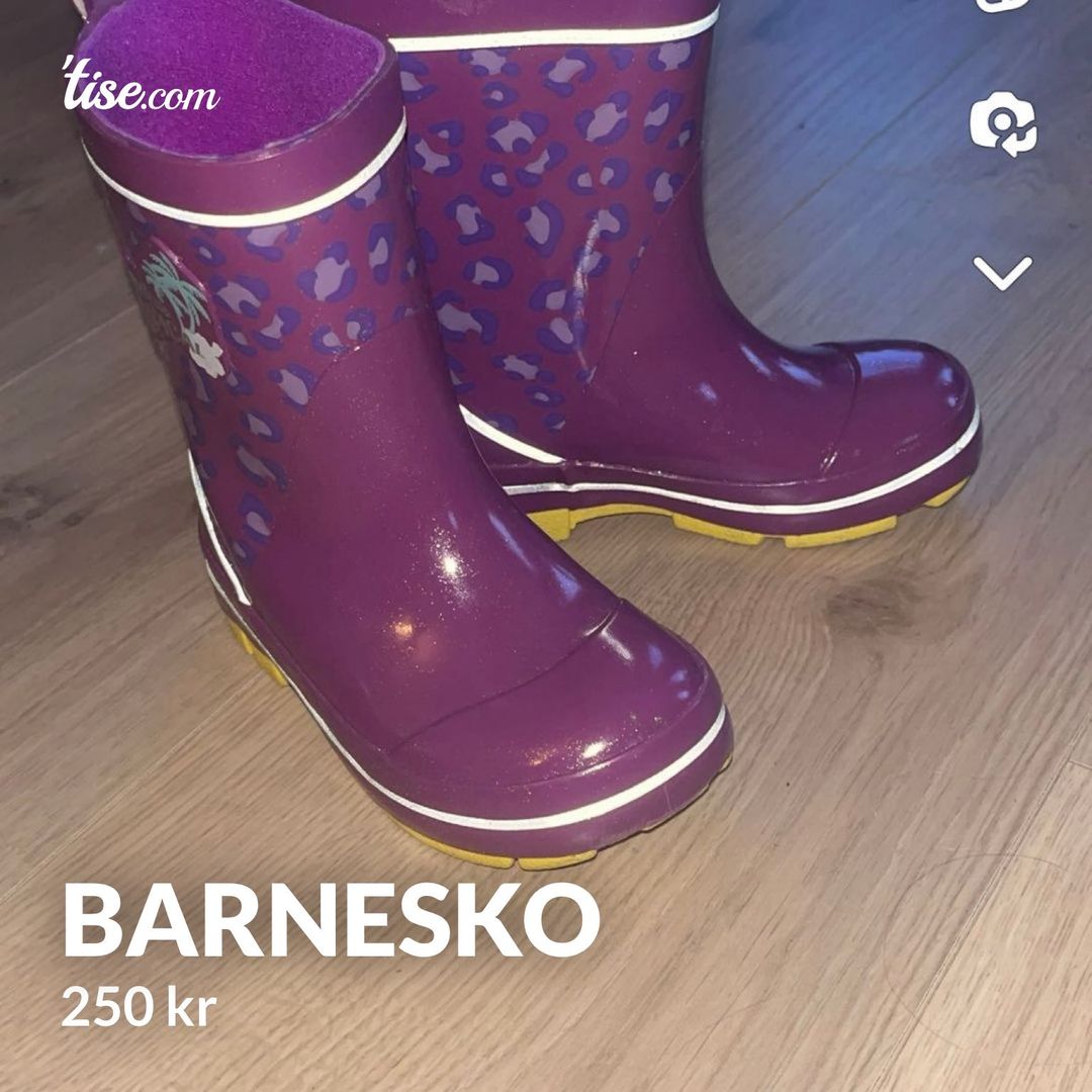 Barnesko