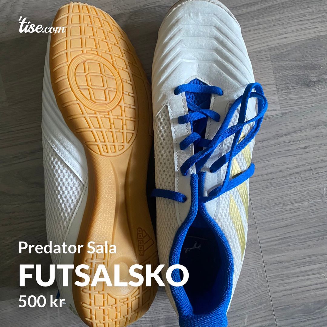 Futsalsko