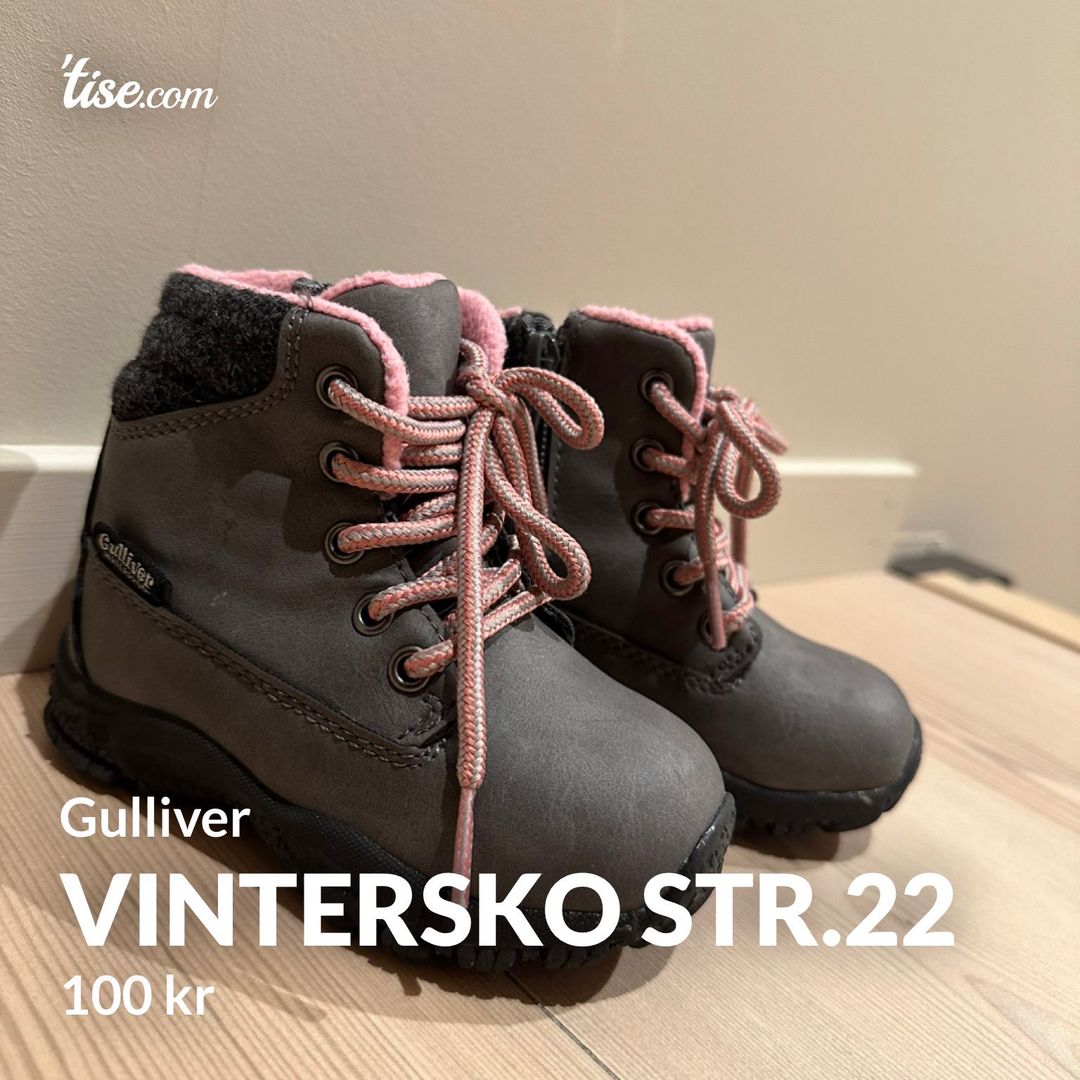 Vintersko str22