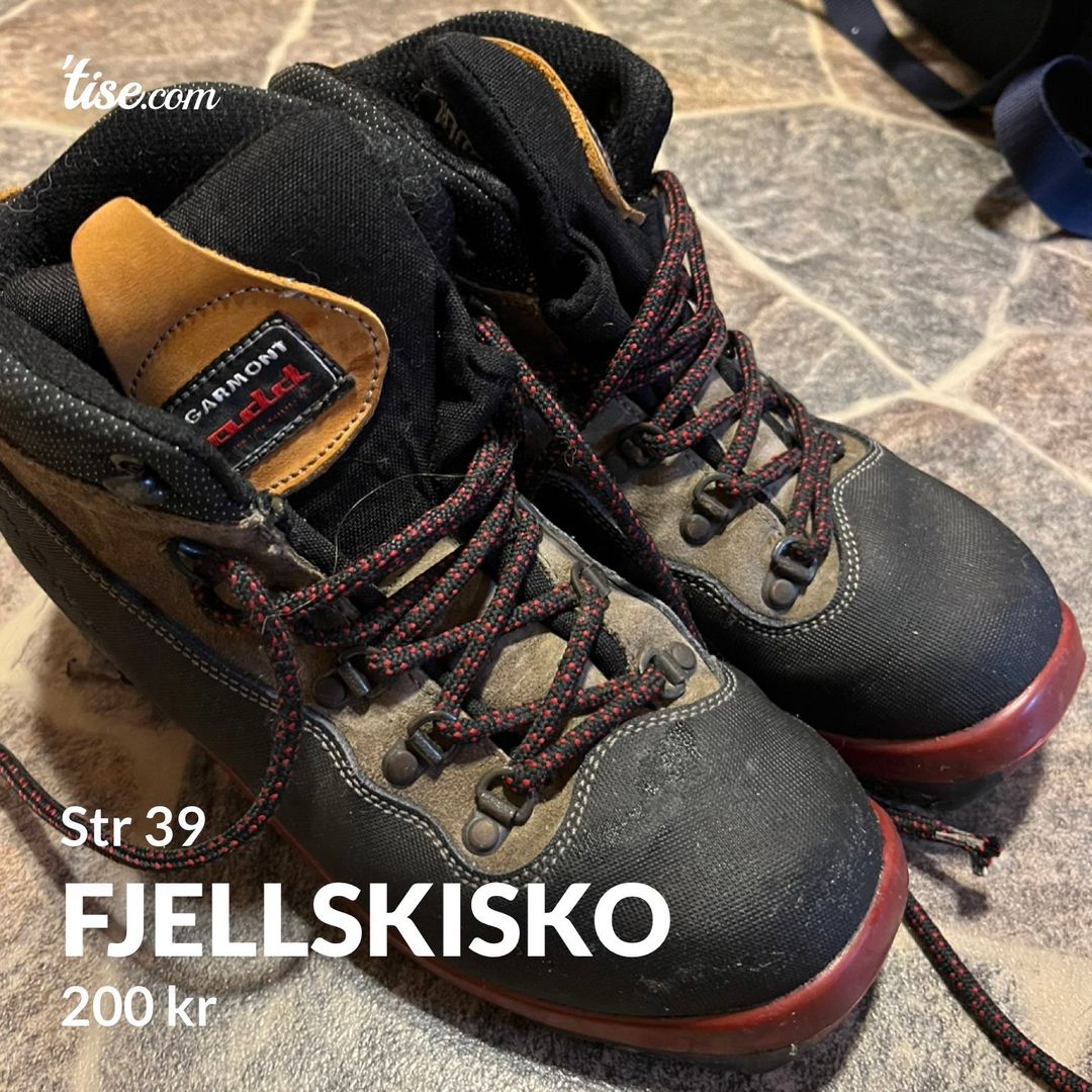 Fjellskisko