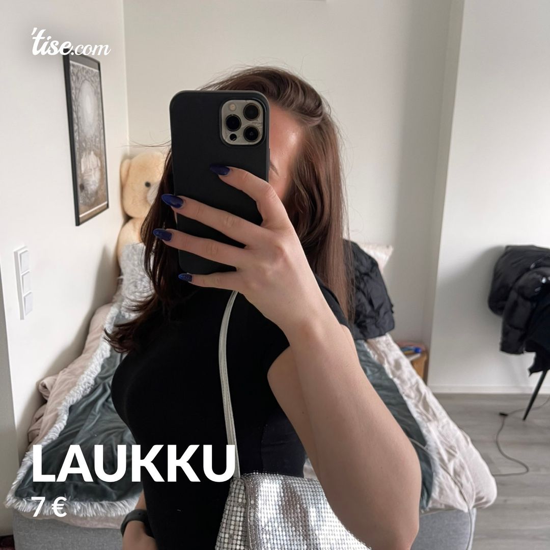 Laukku