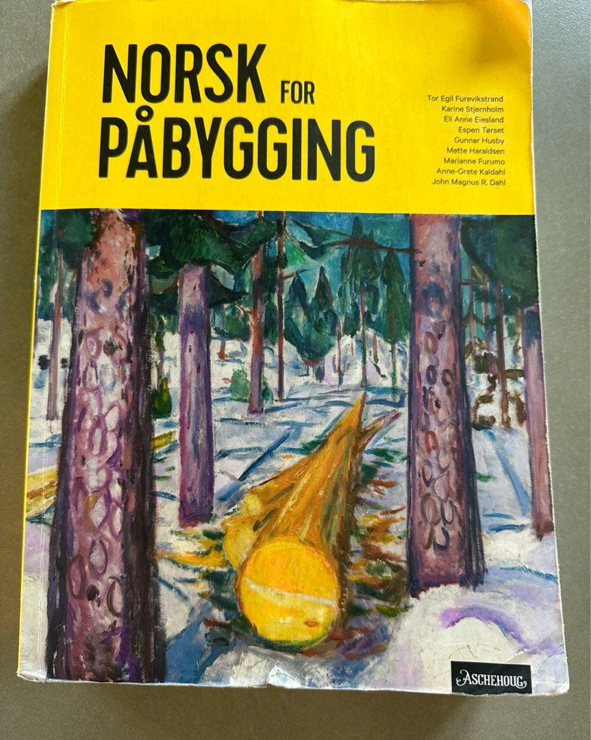 Norskbok for påbygg