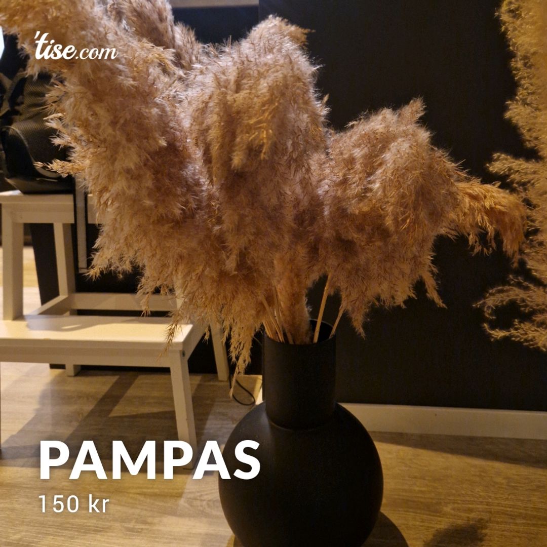 Pampas