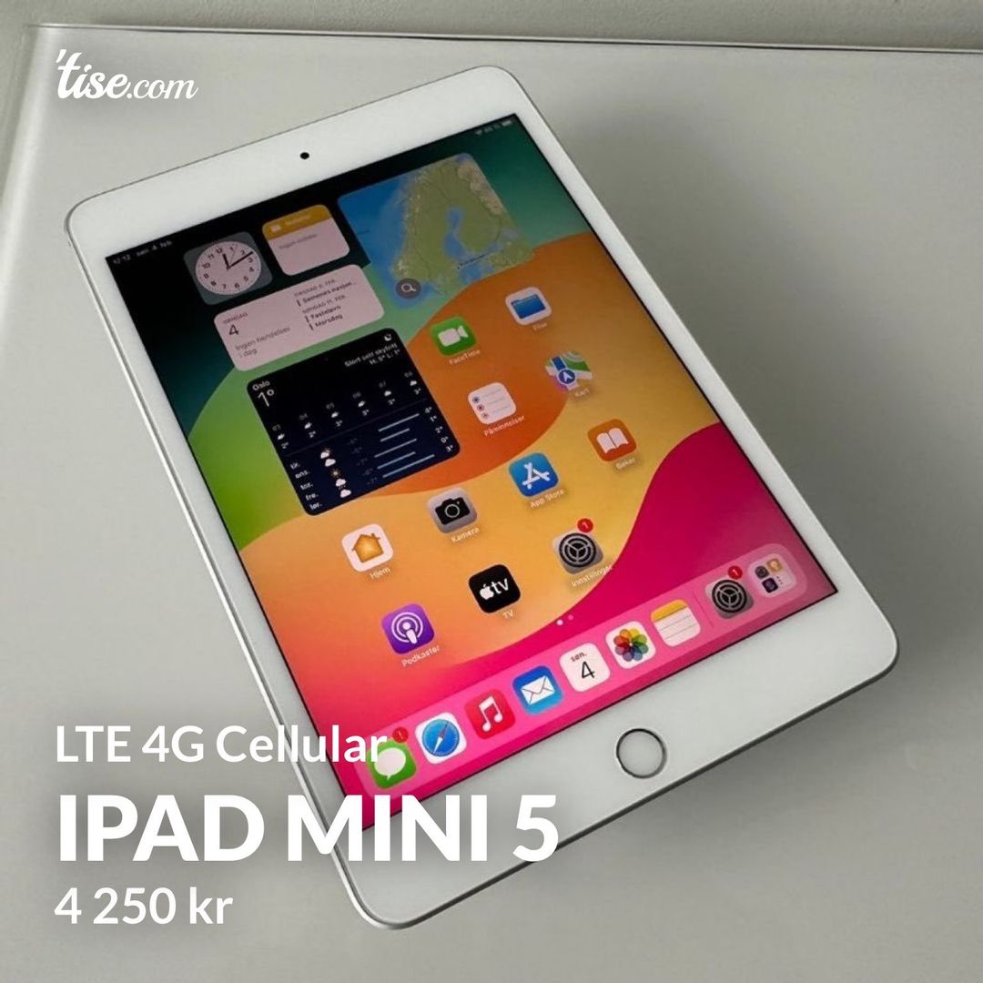 iPad mini 5