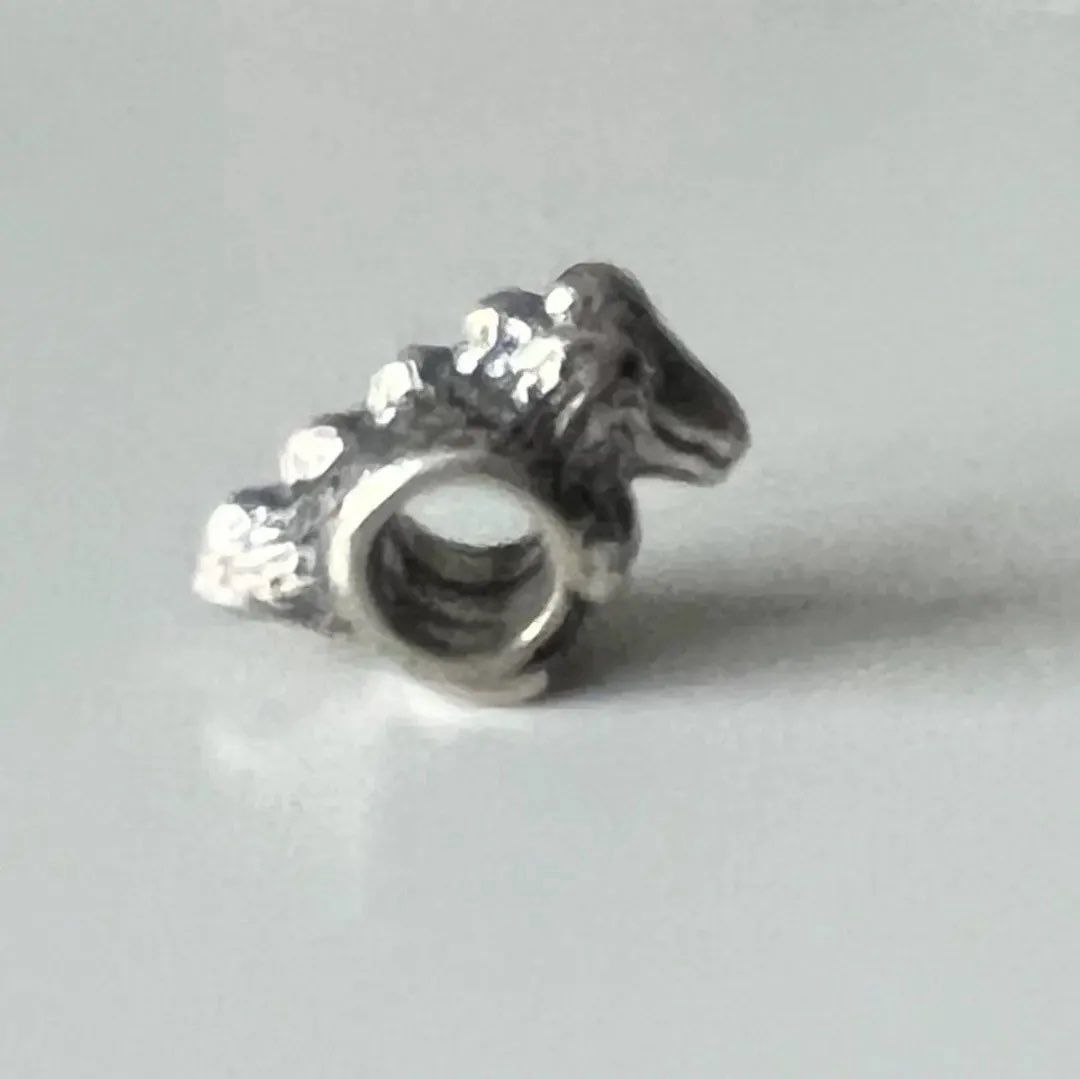 Pandora charms