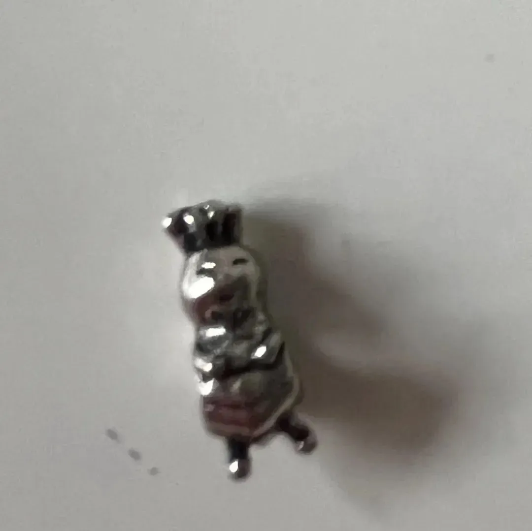 Pandora charms