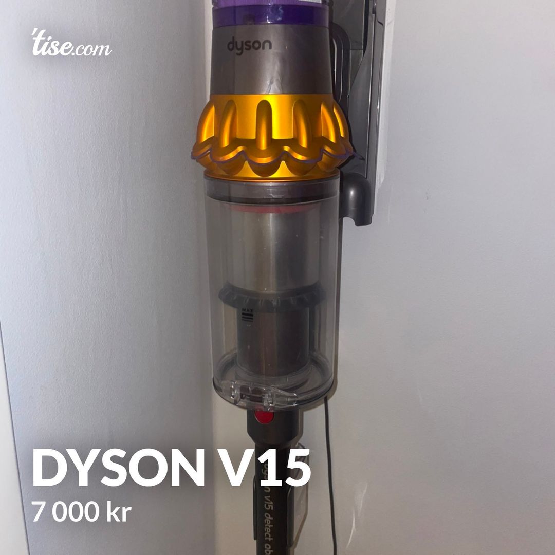 Dyson v15