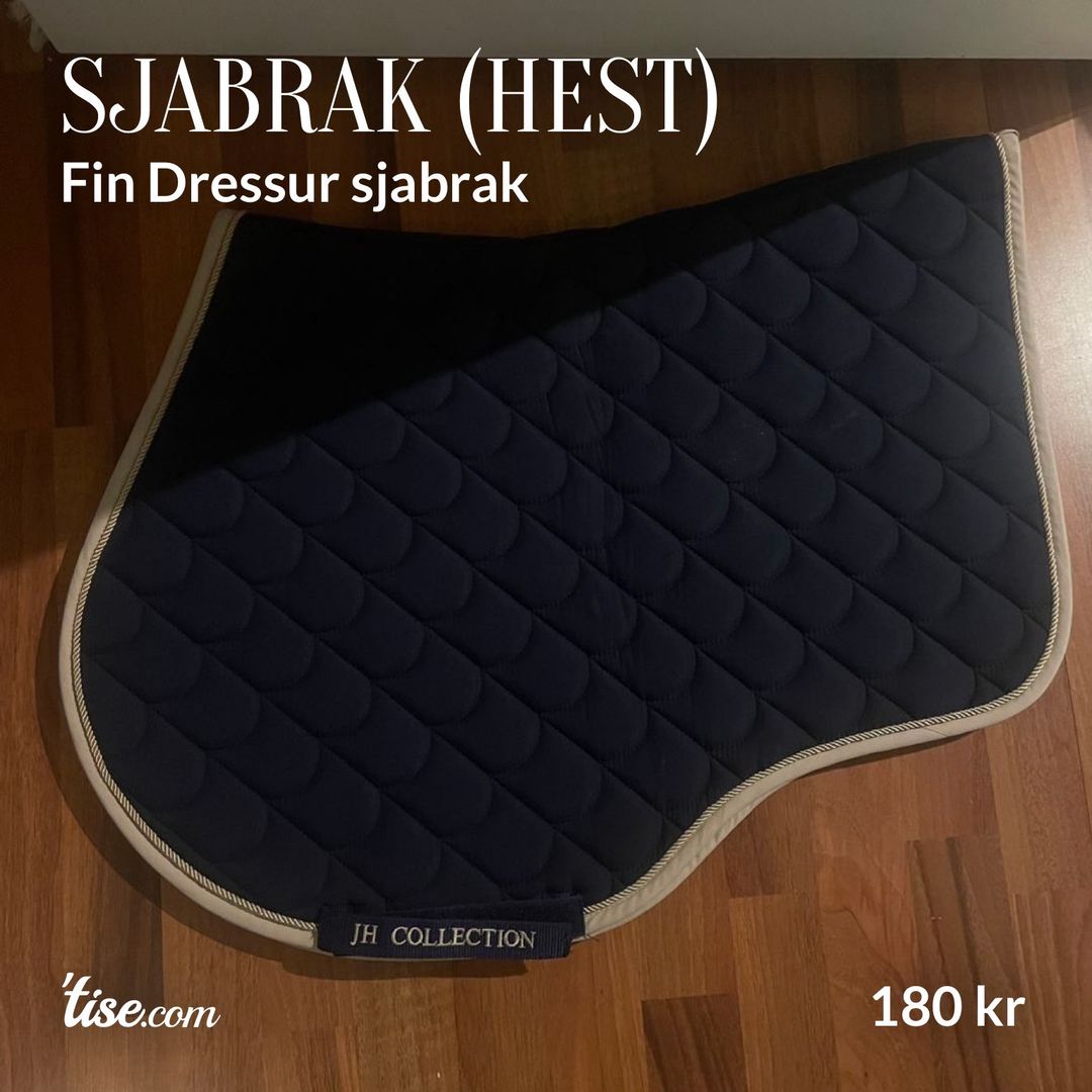 Sjabrak (Hest)