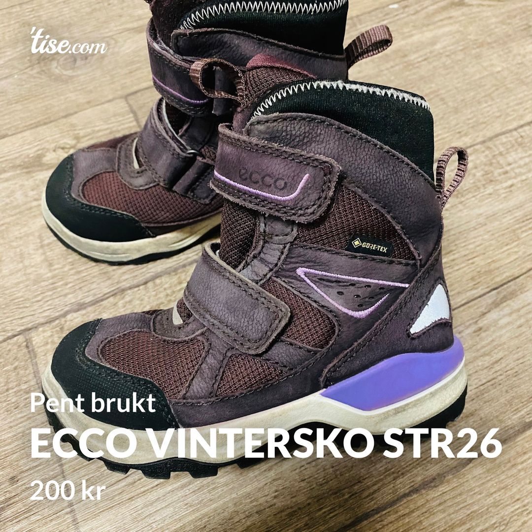 Ecco vintersko str26