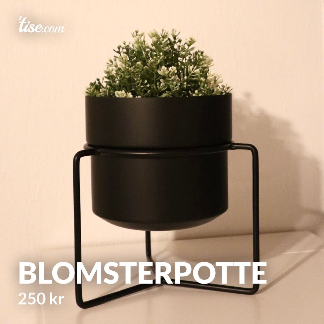 Blomsterpotte