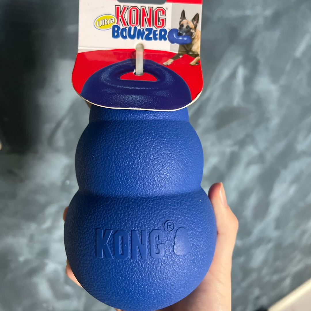 Kong Ball Hund