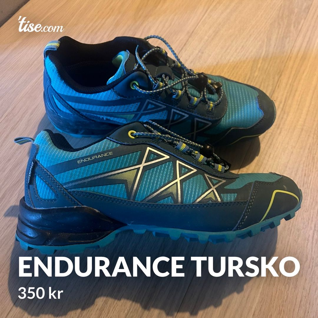 Endurance tursko