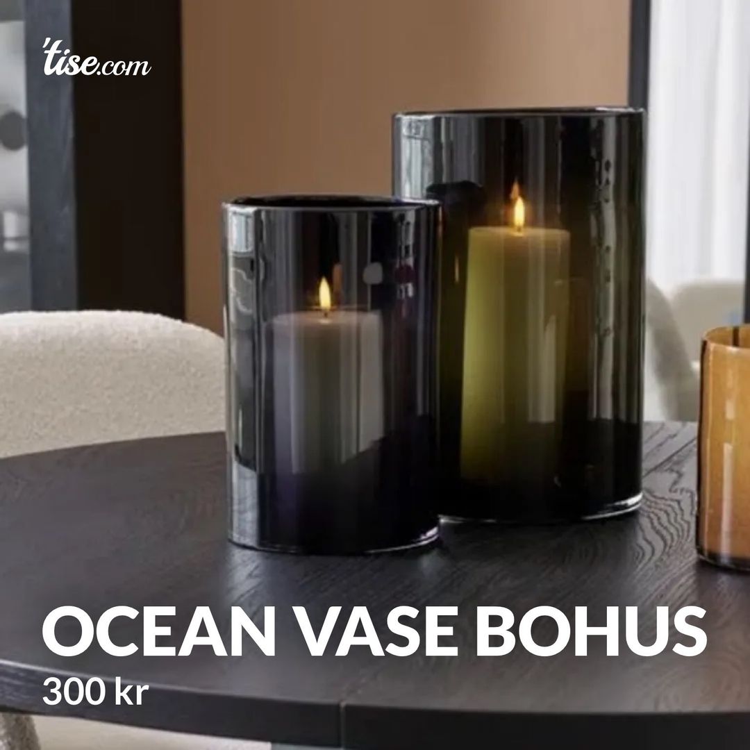 Ocean vase bohus