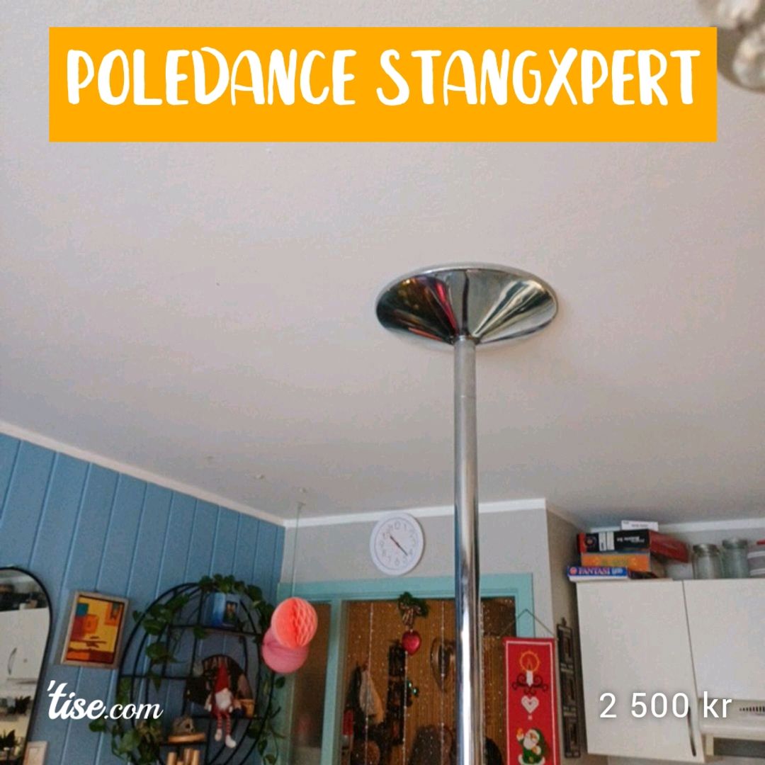 Poledance Stangxpert