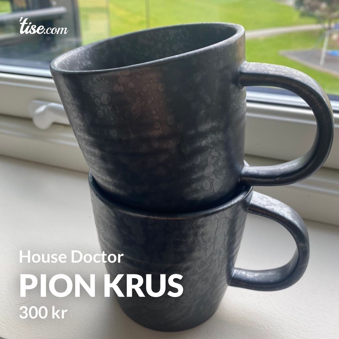 Pion krus