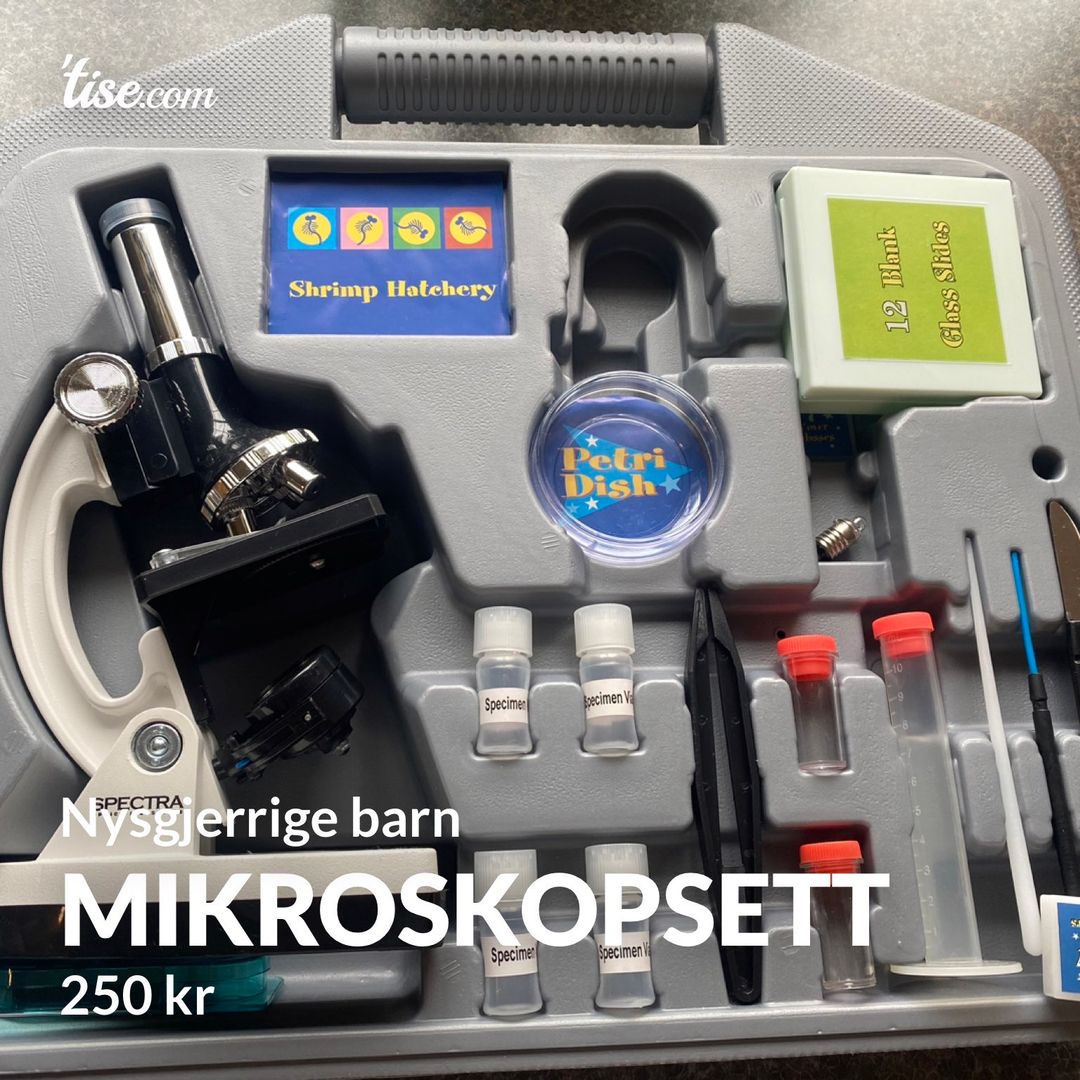 Mikroskopsett