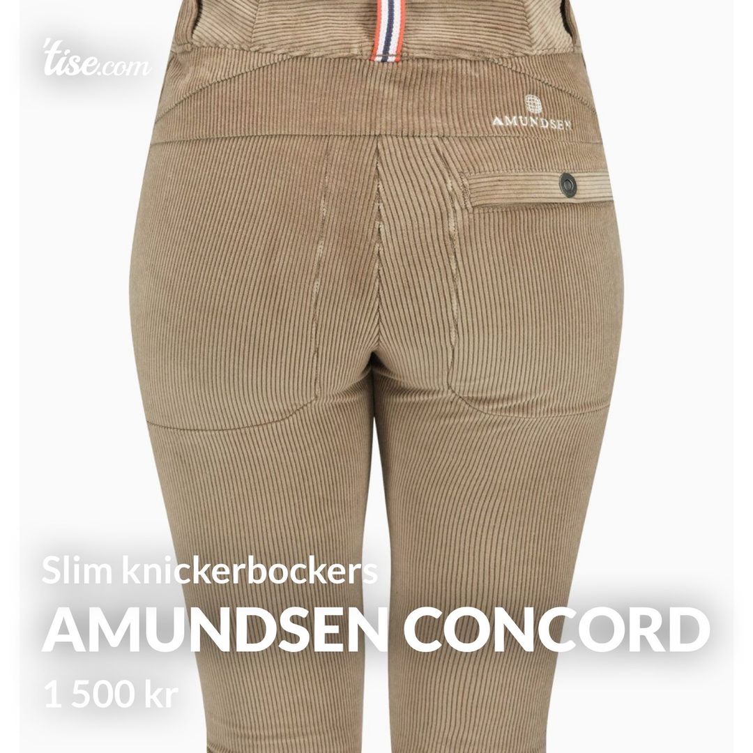 Amundsen concord