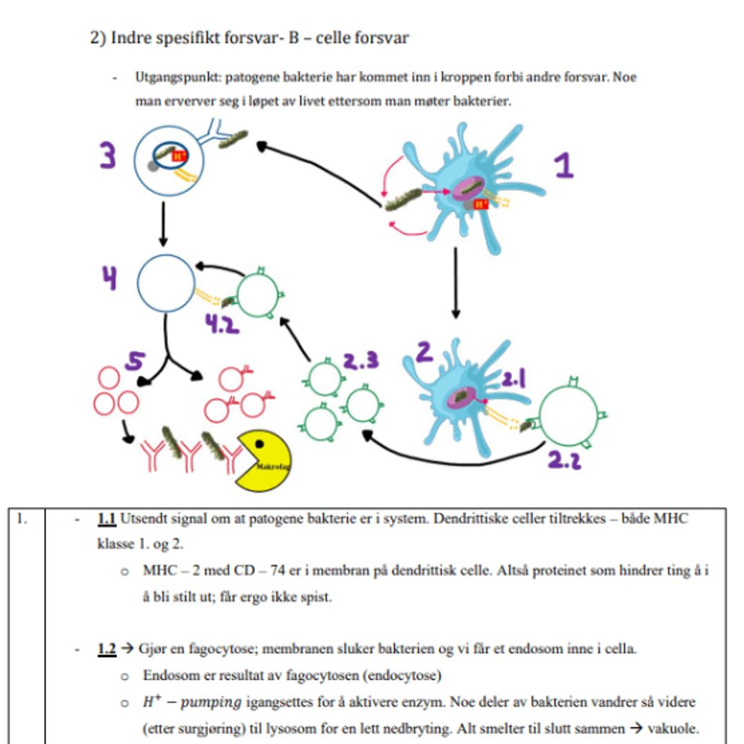 Biologi 1