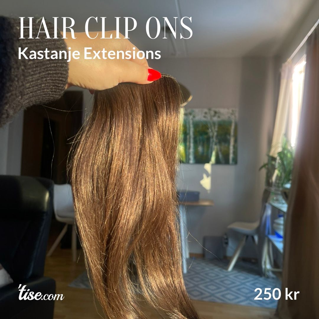 Hair clip ons