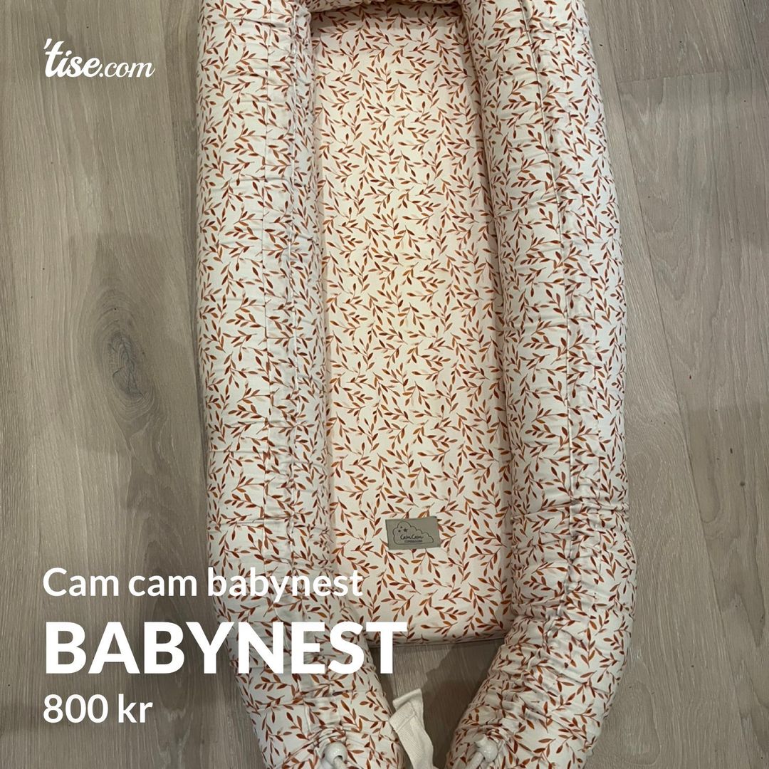 Babynest