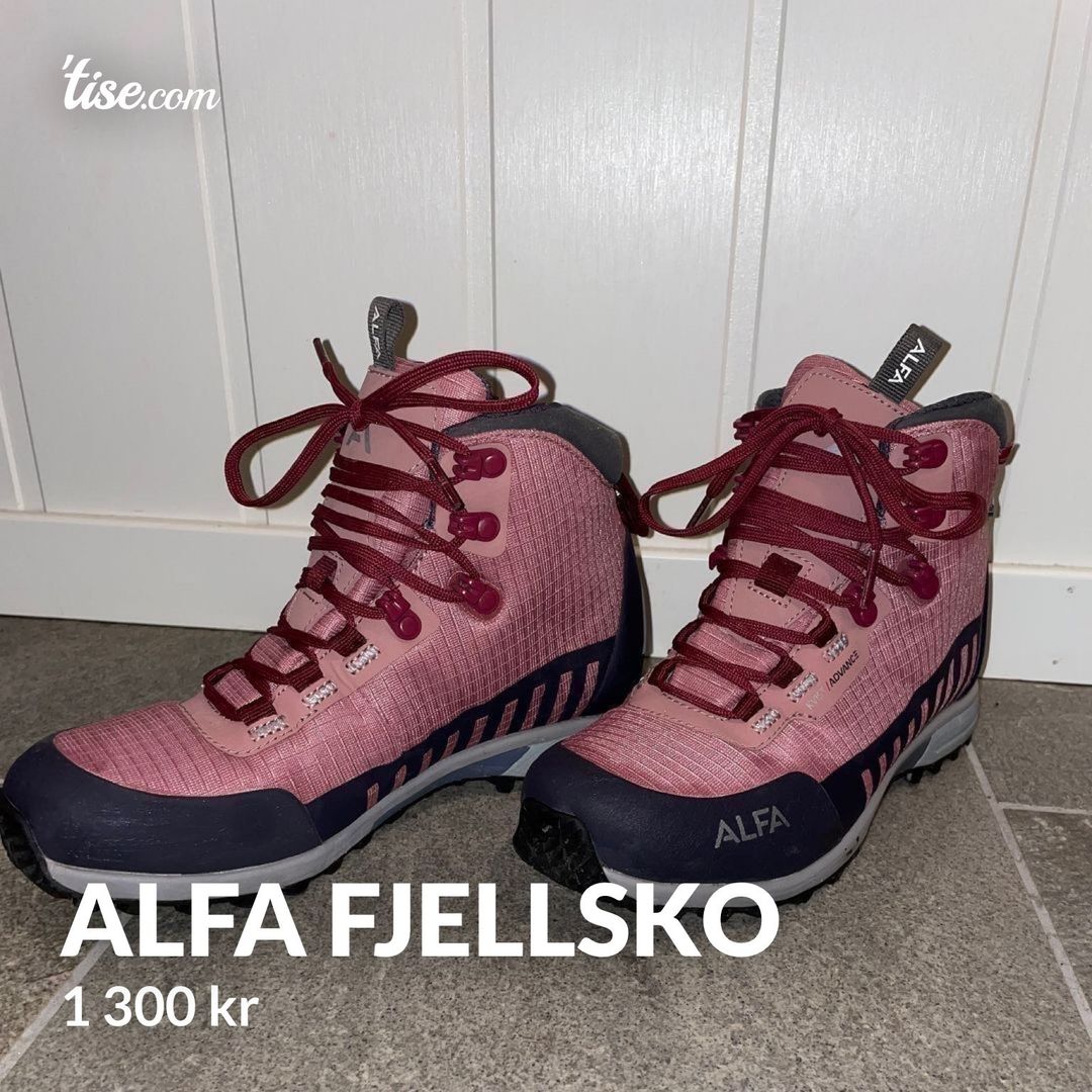 Alfa fjellsko