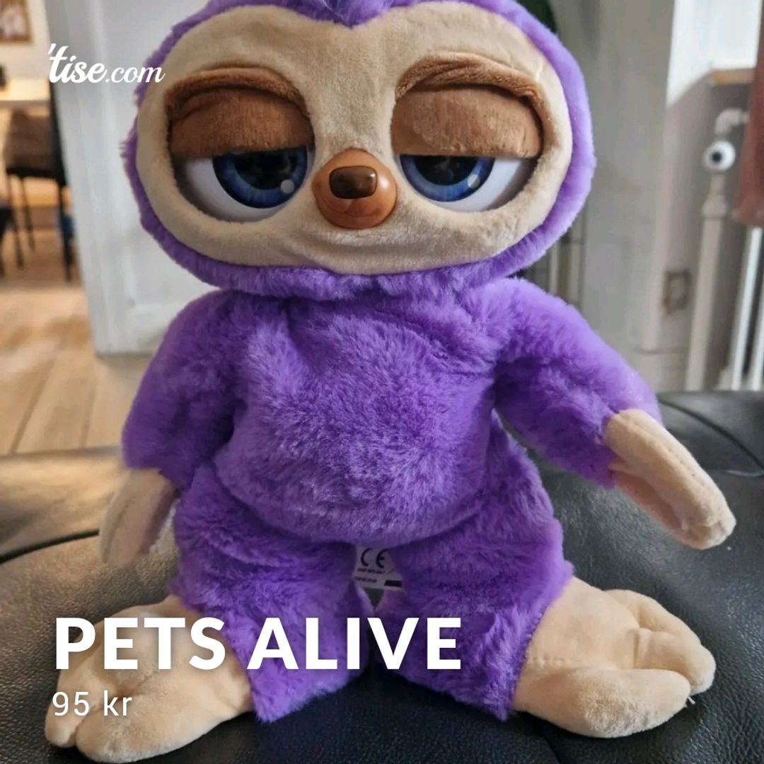 Pets Alive