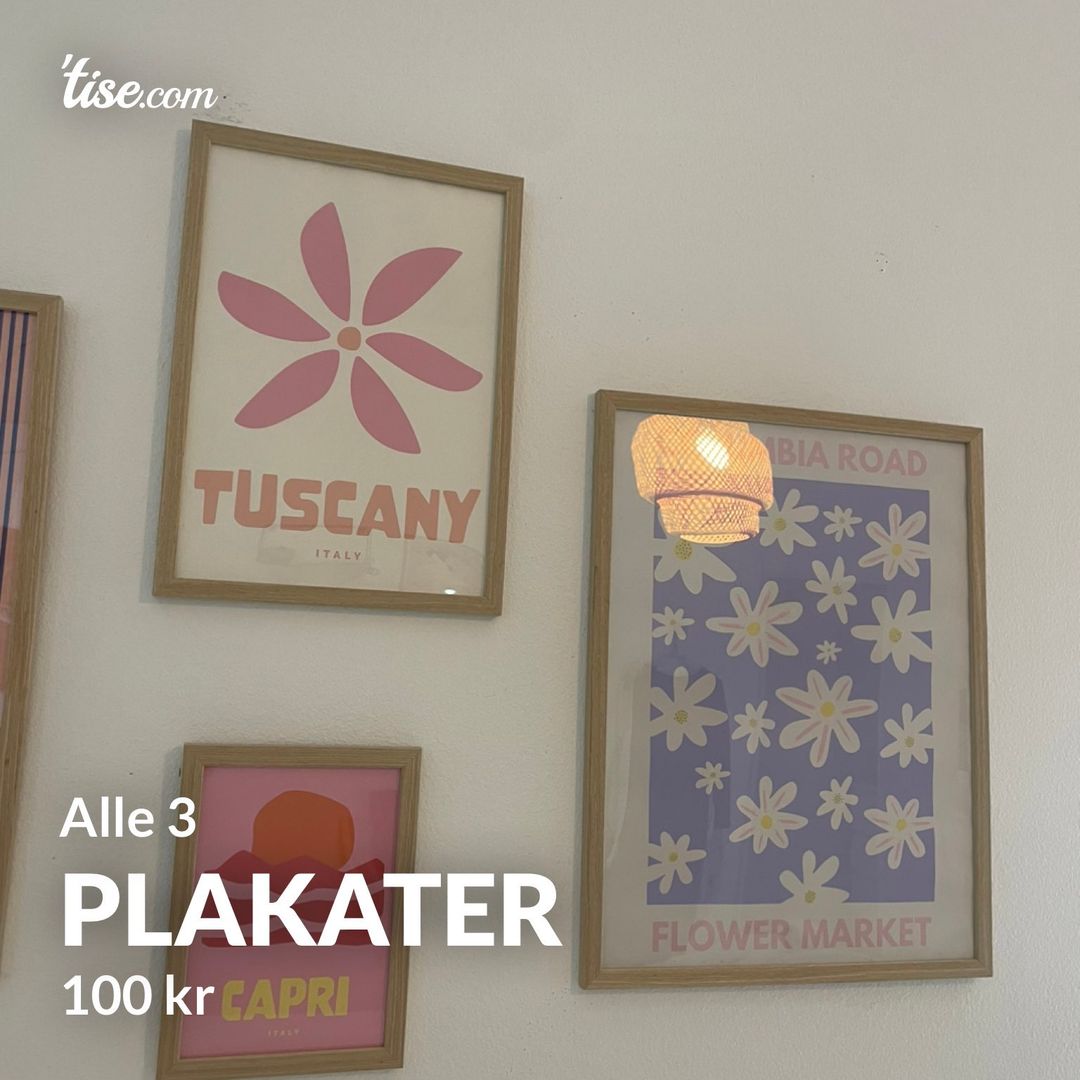 Plakater