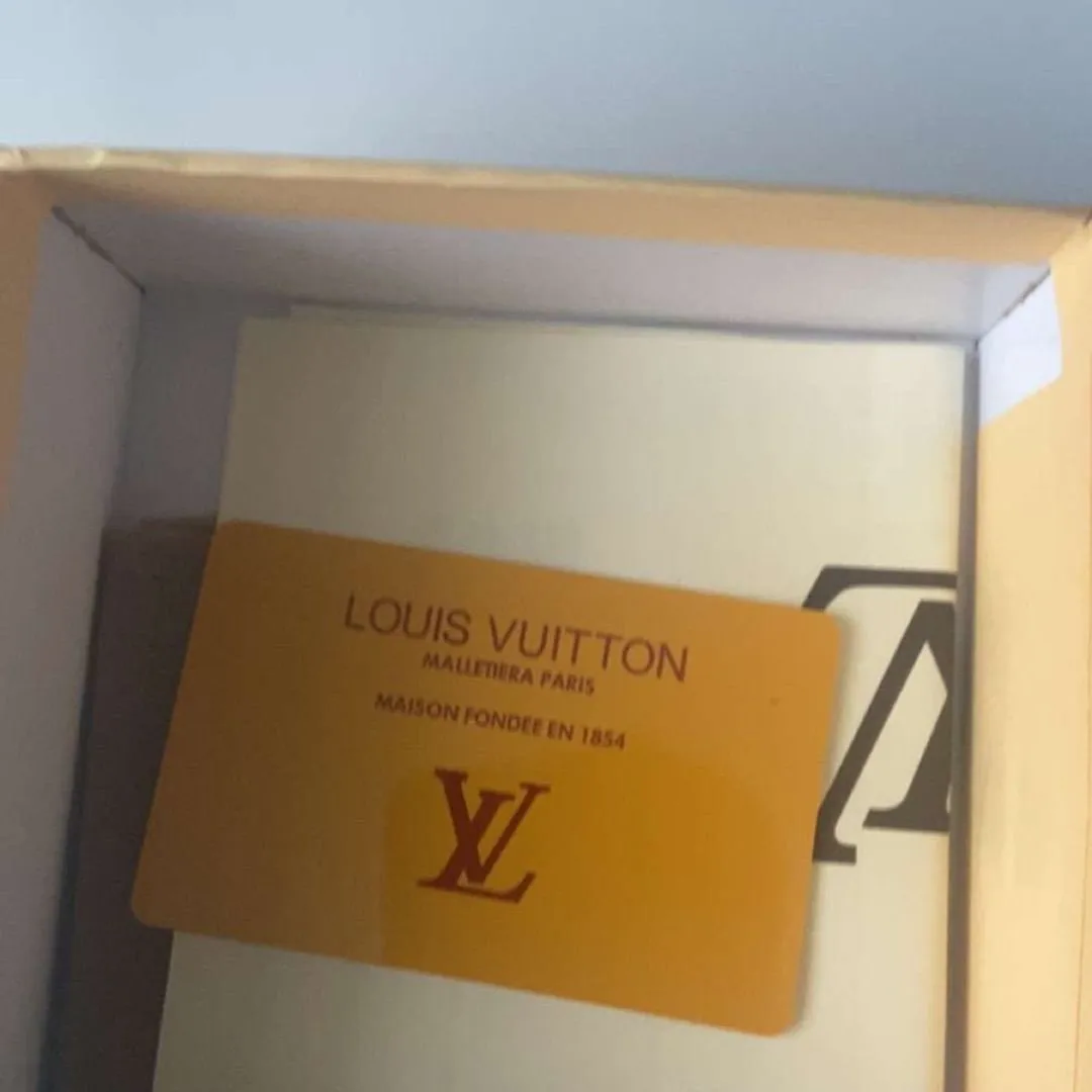 Louis vuitton belte