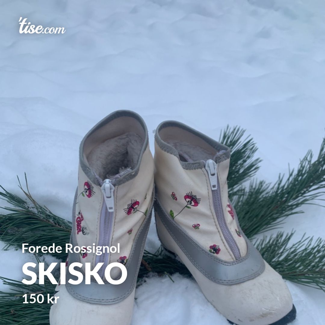 Skisko