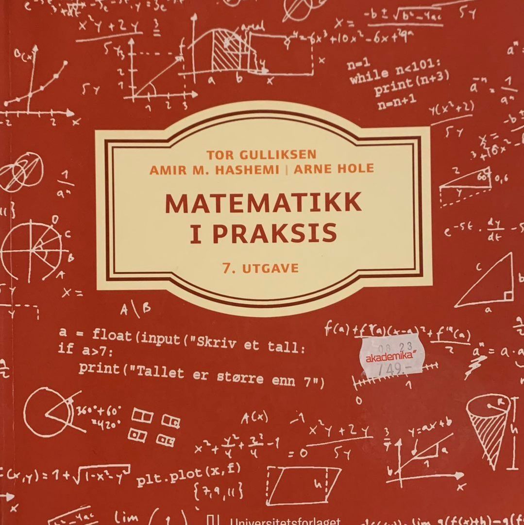 Matematikk i praksis