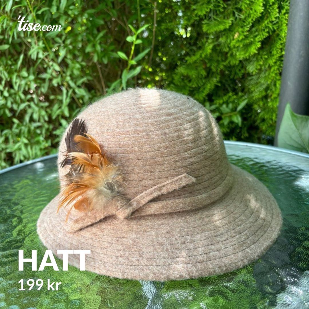 Hatt