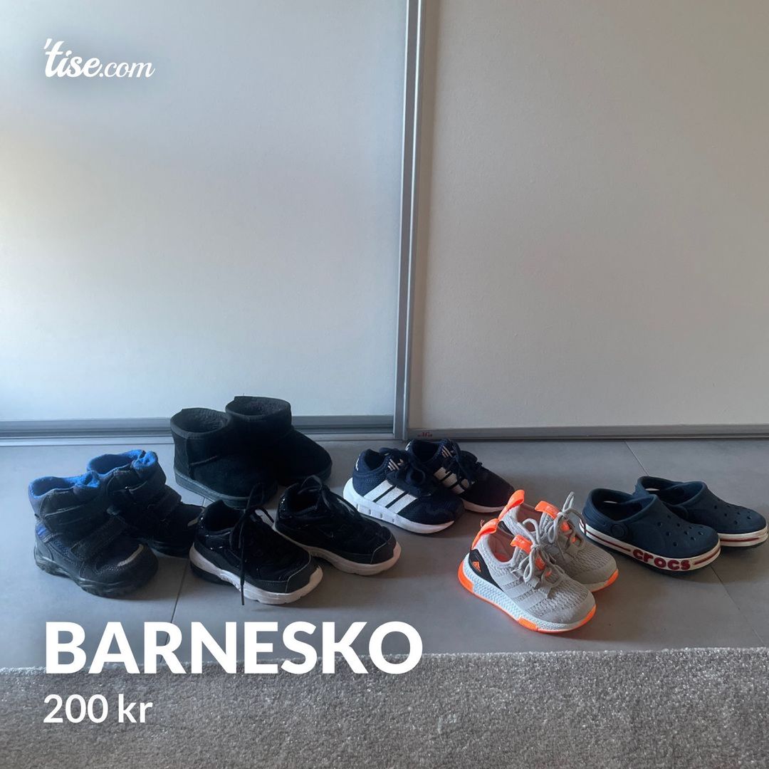 Barnesko