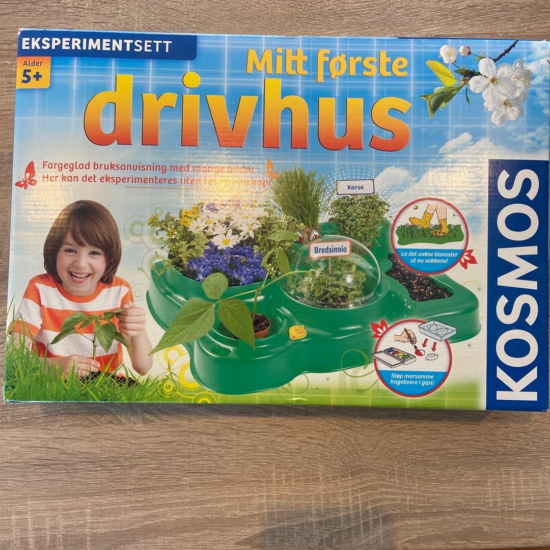 Mitt første drivhus