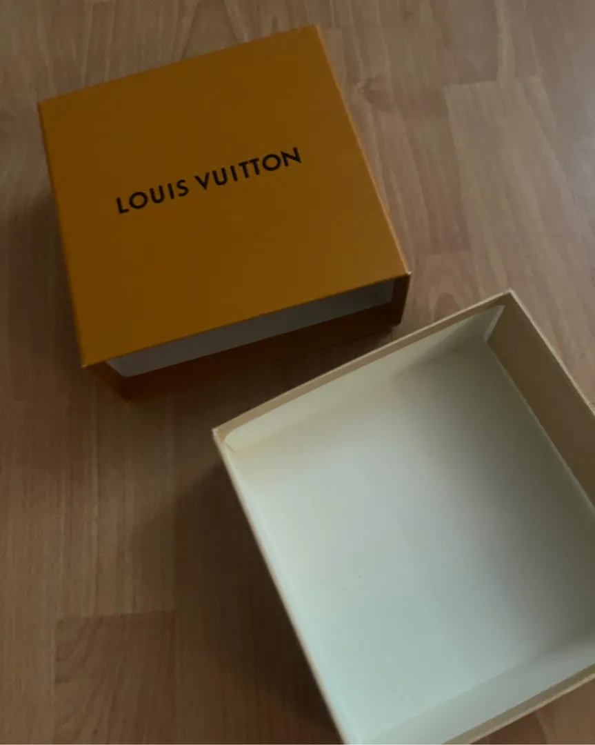 Louis vuttion belte