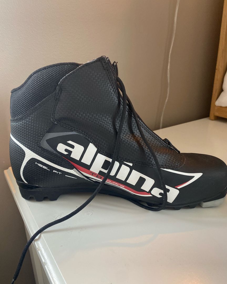 Alpina ski sko