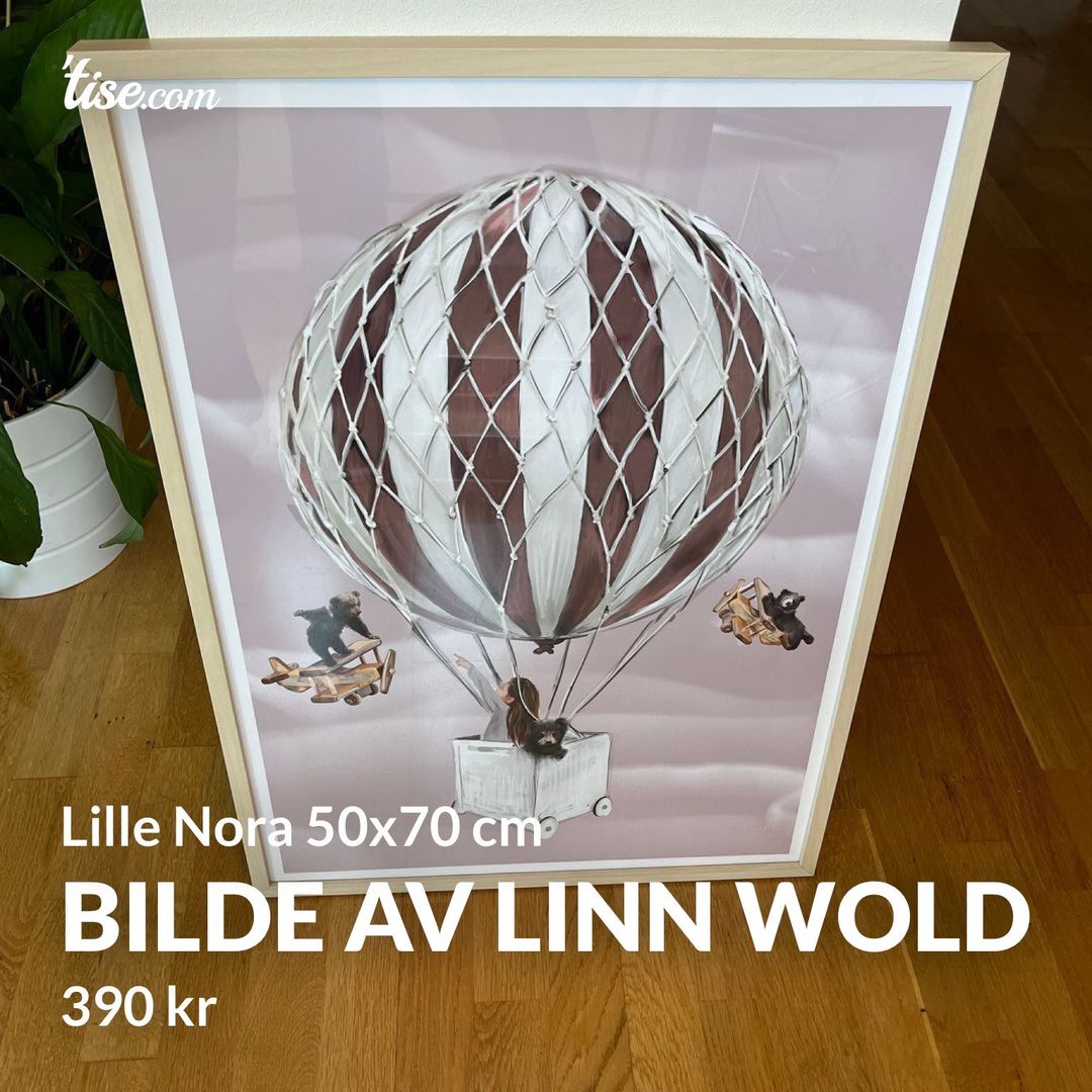 Bilde av Linn Wold