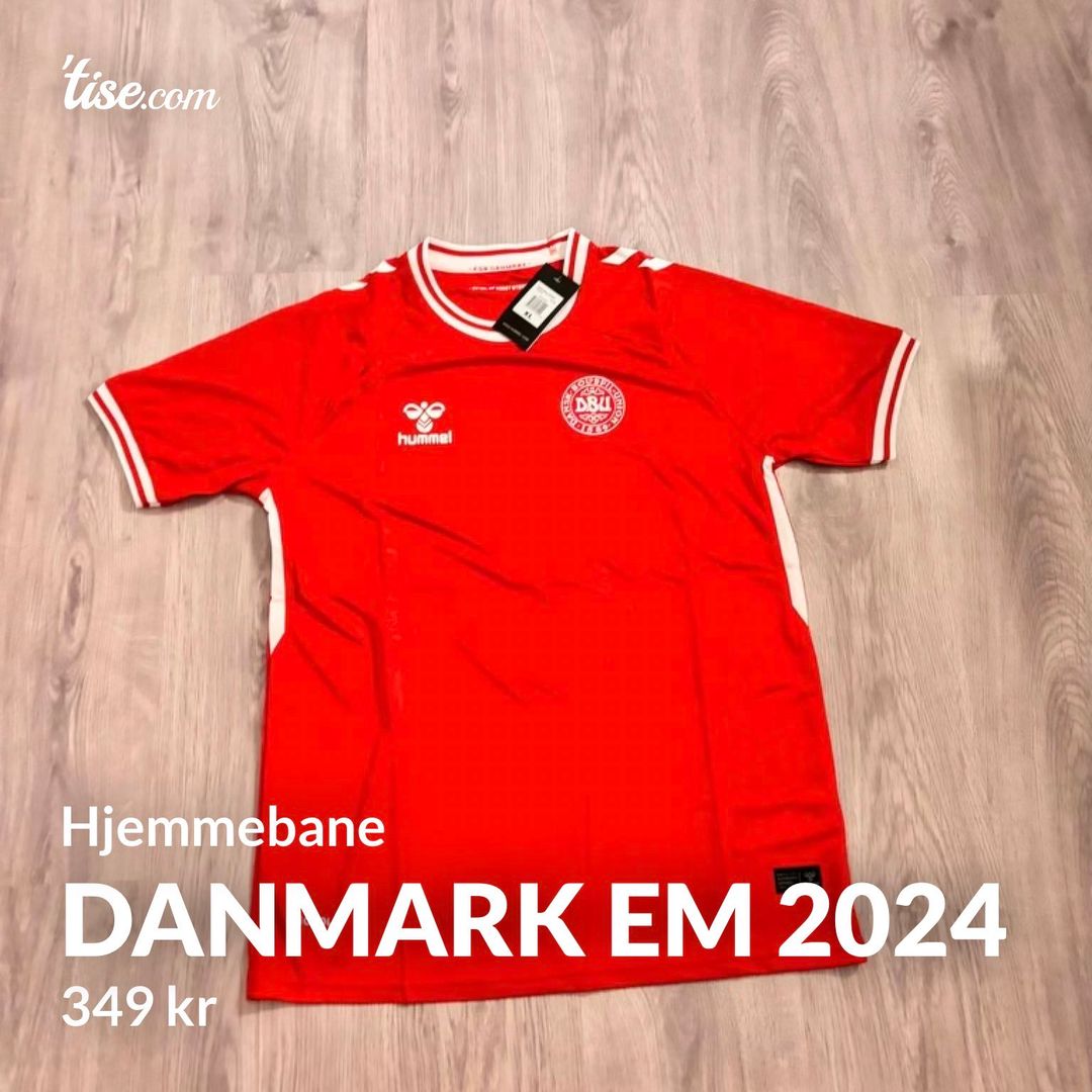 Danmark EM 2024