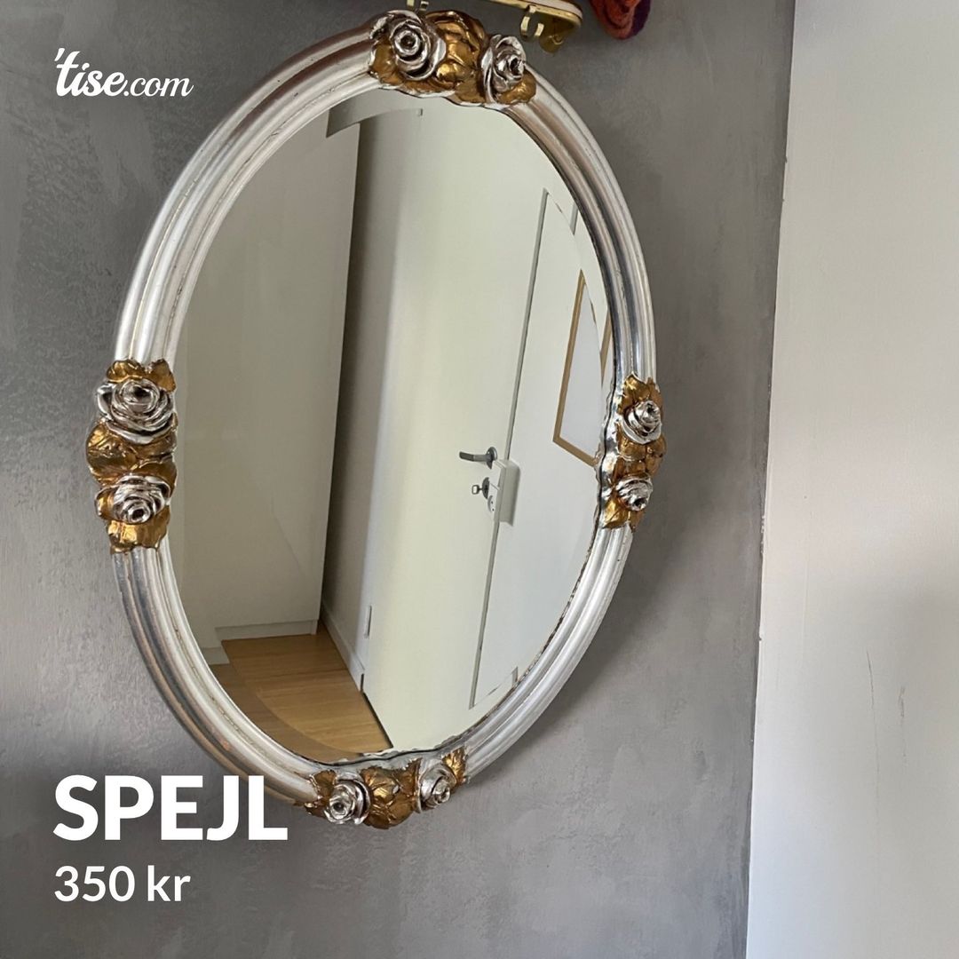 Spejl