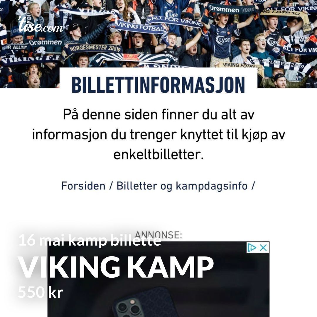 Viking kamp