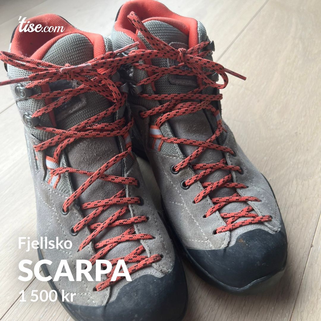 Scarpa