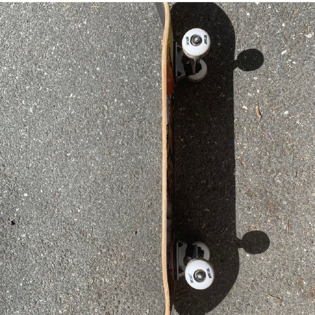 Tony hawk skateboard