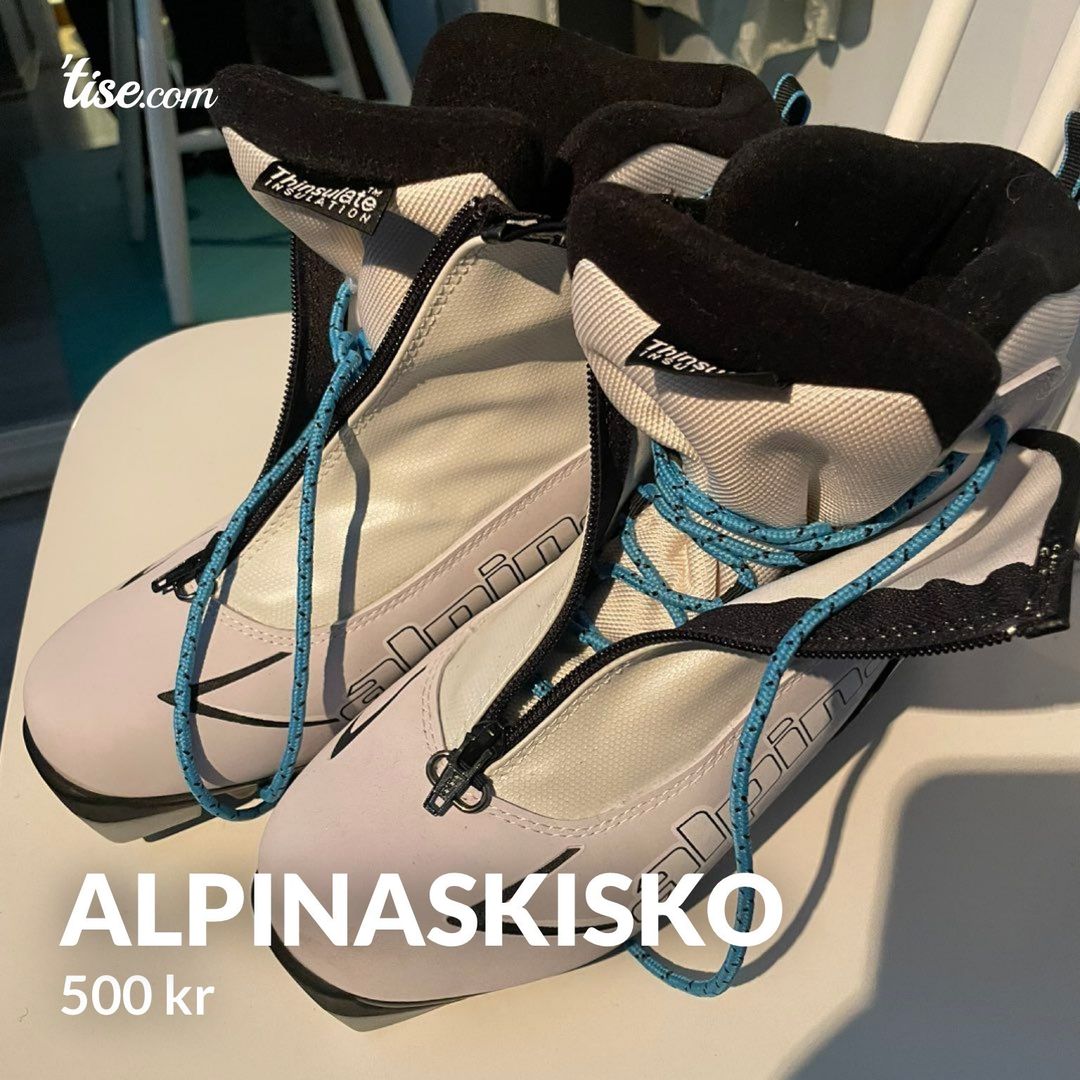 Alpinaskisko