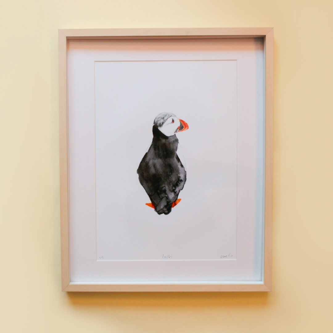 Puffin | Plakat A3