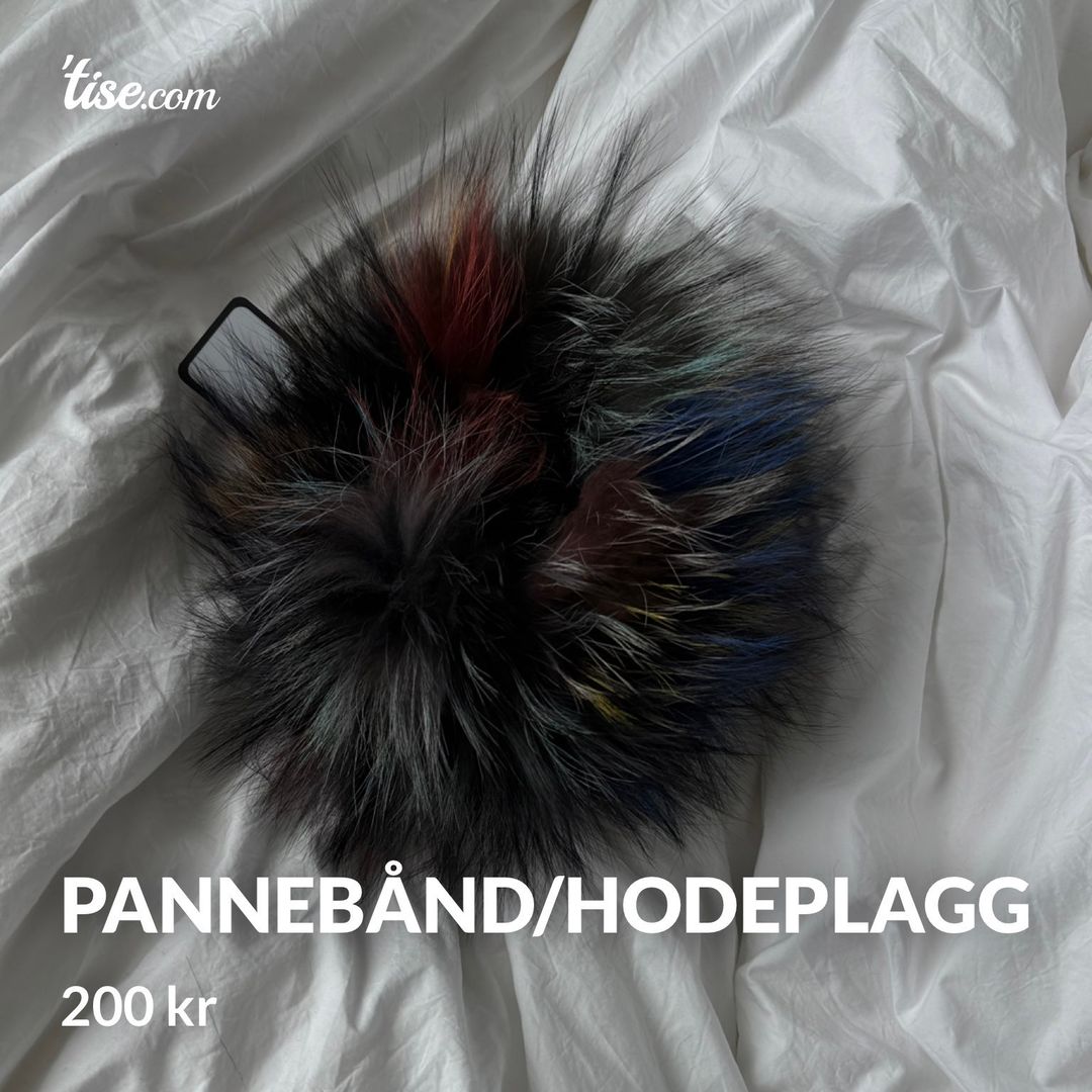 Pannebånd/hodeplagg