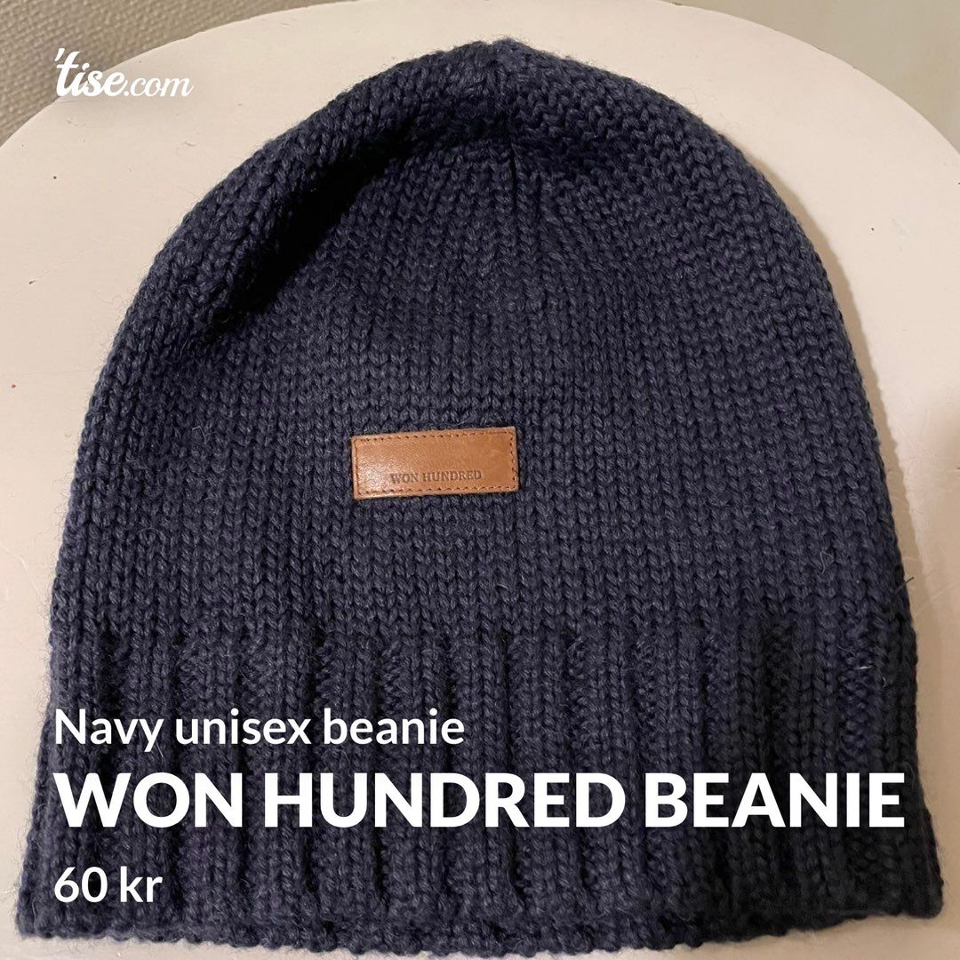 Won hundred Beanie